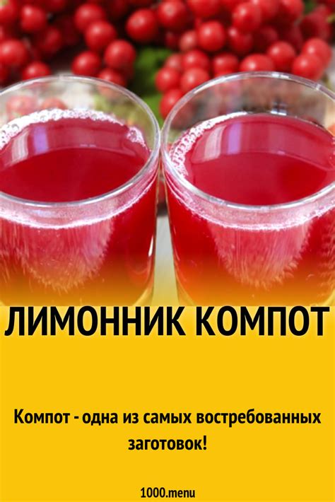 Лимонник компот рецепт с фото - 1000.menu