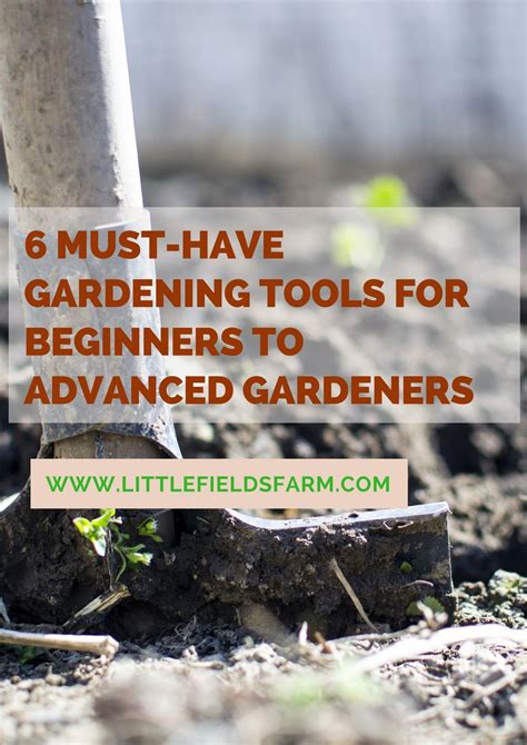 PDF 6 Must Have Gardening Tools For Beginners To Advanced Gardeners