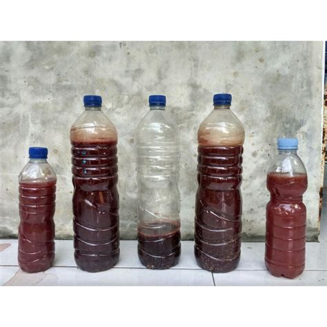 Jual PUPUK ORGANIK CAIR POC BAKTERI FOTOSINTESIS PSB 250 Ml