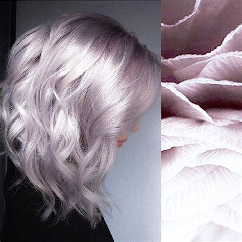 Chiffon Blonde🌸 By Rossmichaelssalon A Rooty Mauve Platinum