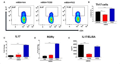 Effect Of TCDD And FICZ On Th 17 Cells During DTH Response DTH Was