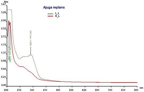 Comparative Study of the Phytochemical Profile and Biological Activity