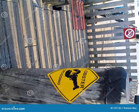 Signs Signs Everywhere Signs Stock Photo Image Of Crossing Post
