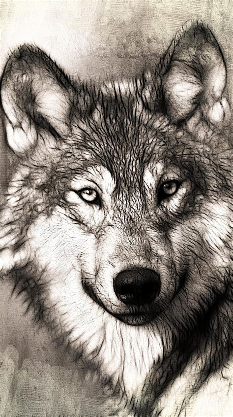 Wolf Art Black And White