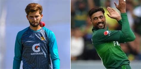 Mohammad Amir Backs ‘young Players Amid T20 Defeat In New Zealand