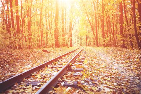 Scotrail Announces £13m Investment To Combat Autumn Weather