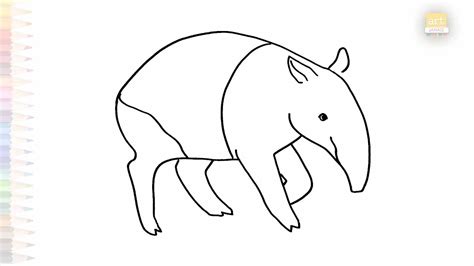 Tapir Easy Drawing Art Tutorial How To Draw A Tapir Step By Step