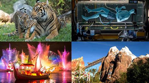 Disneys Animal Kingdom Celebrates Roaring 20th Anniversary