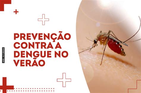 Preven O Contra A Dengue No Ver O Paran Cl Nicas