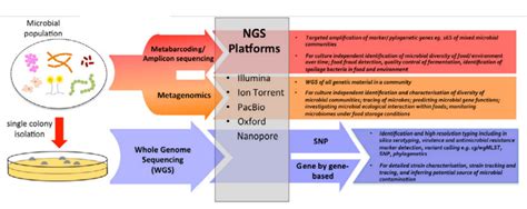 Whole Genome Sequencing Part 1 Background Erdyn