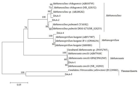 Phylogenetic Tree Of Archaea S Rdna Sequences In Domestication Sludge