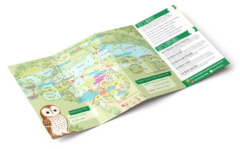 AN ILLUSTRATED MAP FOR A WILDLIFE PARK — andy ward illustration