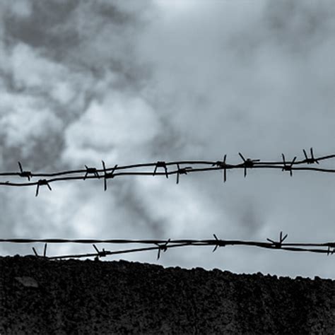 Rodent Proof Steel Barbed Wire At Best Price In Indore Prakhar