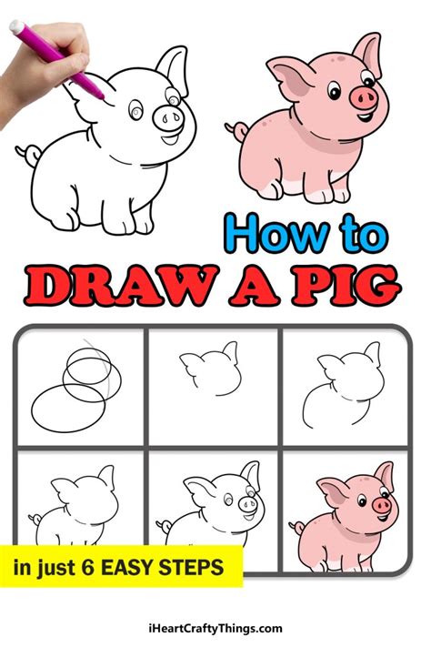 Pig Drawing How To Draw A Pig Step By Step