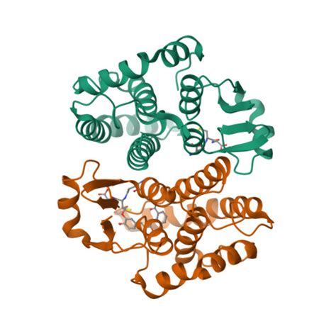 Rcsb Pdb Vd Complex Structure Of Prostaglandin D Synthase At A