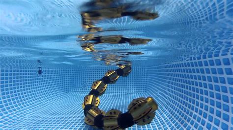 A Slithering Snake Robot That Can Swim Underwater With Unsettling Ease