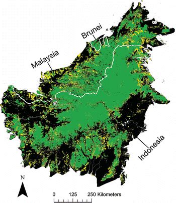 Map Of Borneo Showing Areas Of Forest Loss Between And In