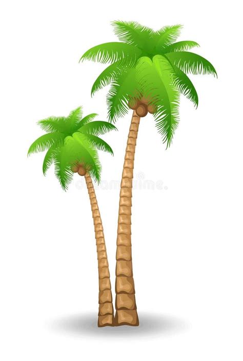 Palm Tree Stock Vector Illustration Of Palm Vector Palms 2556219