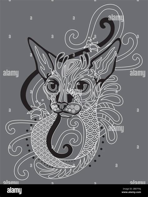 Grey Cornish Rex Stock Vector Images Alamy