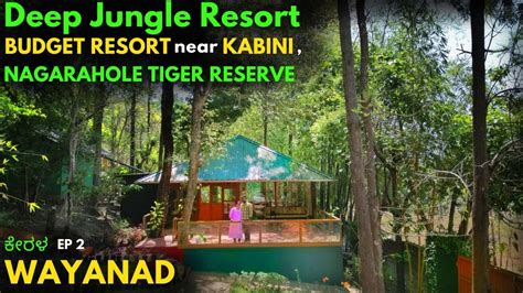 JUNGLE RESORT Near Kabini BUDGET RESORT In WAYANAD Thennal Jungle