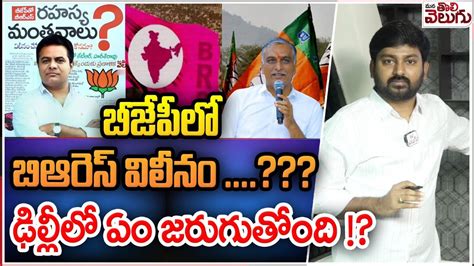 బజపల బఆరస వలన ఢలలల ఏ జరగతద BRS Merge In BJP