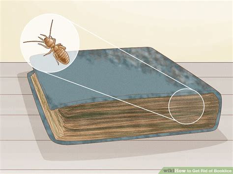 How To Get Rid Of Booklice 14 Steps With Pictures Wikihow