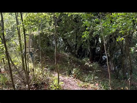 Outdoor Walk Turns Into Fucking XVIDEOS