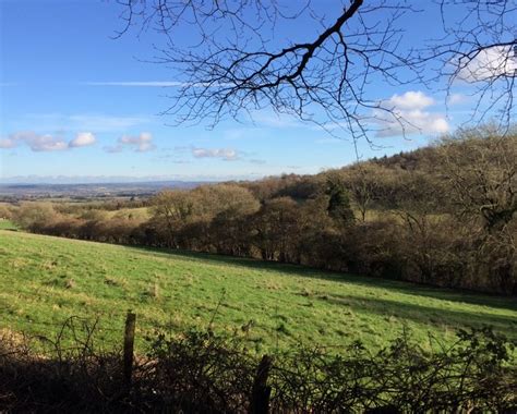 Queen Elizabeth Country Park Hampshire England Country Park Scenic