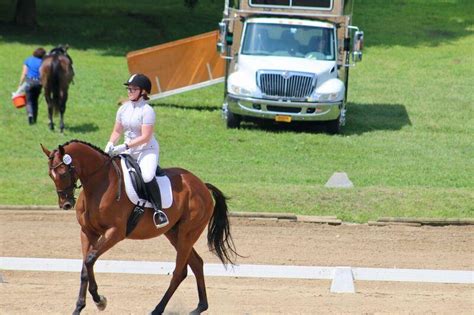 Lunging a Horse - Risks and Benefits - Savvy Horsewoman