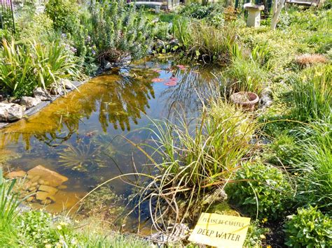 National Garden Scheme Garden Open Day Cedar Road Wickfo Flickr