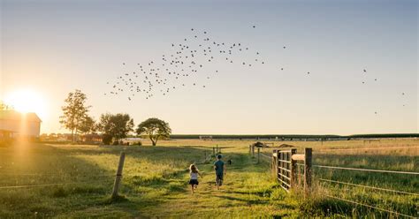 Verdant View Farm Bed And Breakfast Discover Lancaster