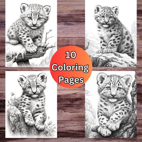 10 Baby Snow Leopards Coloring Pages Greyscale Light And Etsy