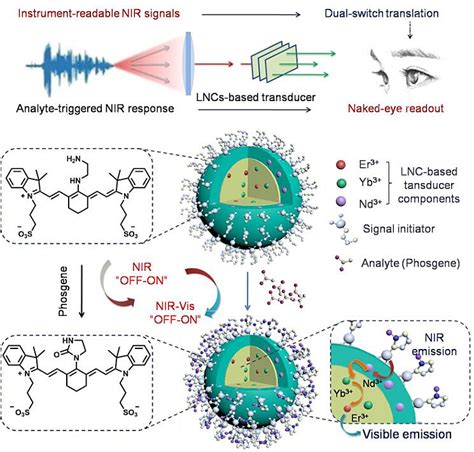 Angew Chem：染料敏化上转换策略实现近红外荧光探针的可视化检测 X Mol资讯