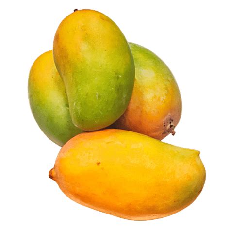 Buy Fresho Mango Kesar 1 Kg Online At Best Price Of Rs 180 Bigbasket