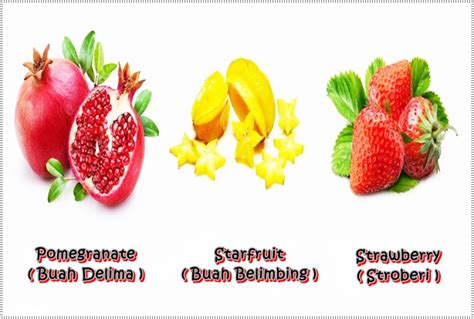 Nama Buah Buahan Dalam Bahasa Inggris Beserta Gambar Dan Artinya