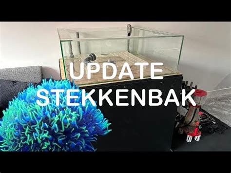 Stekkenbak Opstarten Deel 2 Update Showbak Van Leroy YouTube