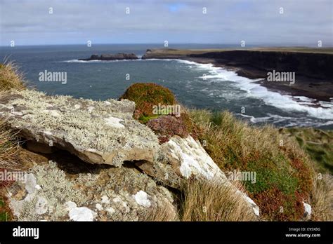 Cliffs At Coast Hi Res Stock Photography And Images Alamy