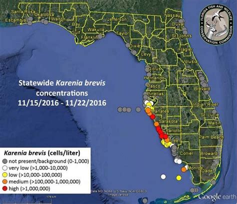 Red Tide Continues To Affect Swfl