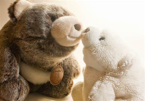 Snuffles Bear by Gund Collector's Blog: Snuffles in Hongkong