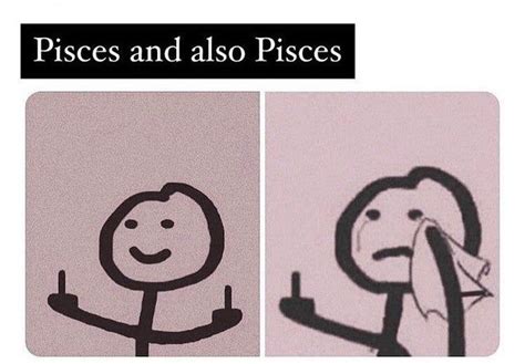 Meme Dump Memes Astrology Pisces Funny Jokes