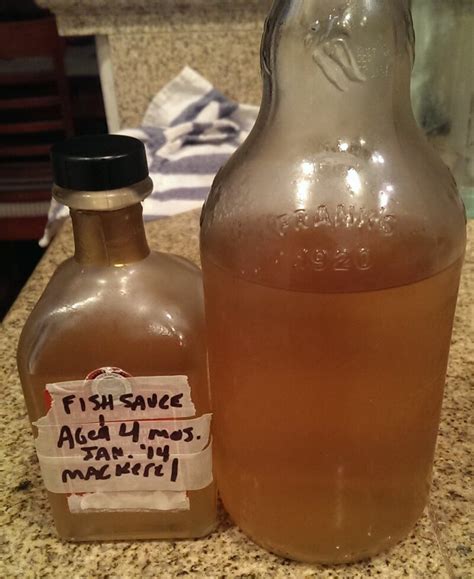 Homemade Fish Sauce | Fermenters Club