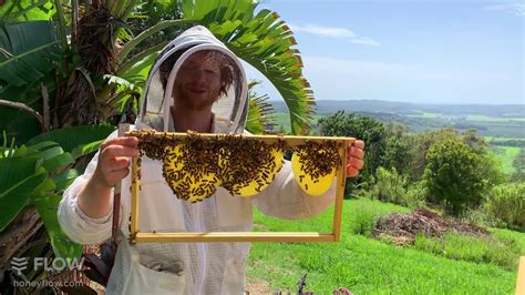 Launching Online Beginner Beekeeping Course 🐝👀