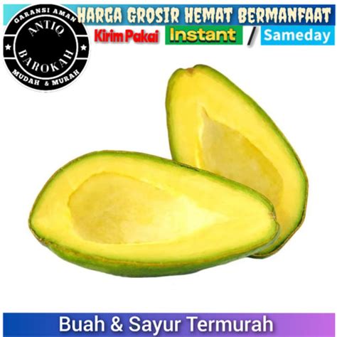 Jual Alpukat Mentega Jumbo Besar Super Segar Fresh Kuning Bergaransi