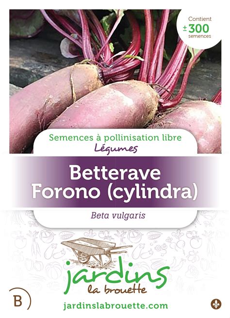 Betterave Forono Cylindra JARDINS LA BROUETTE Semences Pour Jardins