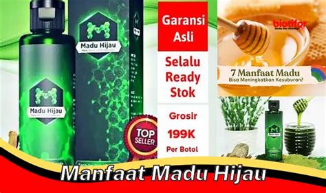 Temukan Manfaat Madu Hijau Yang Jarang Diketahui Biotifor