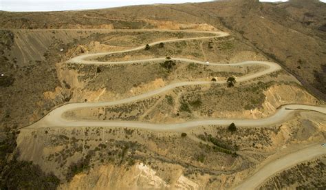 En Busca Del Rbol Milenario De Neuqu N C Mo Recorrer La Ruta Del