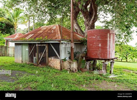Old Colonial Style Shed And Water Tank In An Outdoor Backyard After