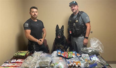 Central Illinois Law Enforcement Discovers 200000 Worth Of Drugs In Raid