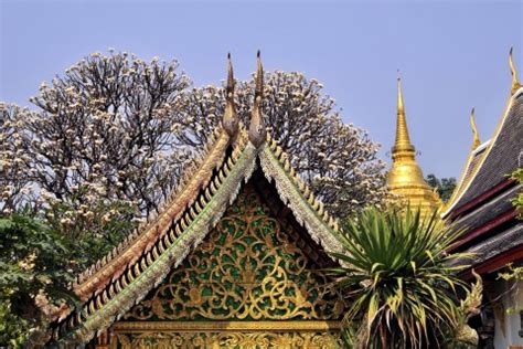 Weather and the best places to visit Thailand in January.