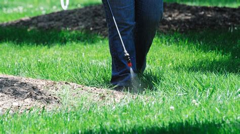 How Long Does It Take For Lawn Fertilization Treatments To Start